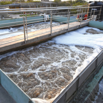 STP Plant