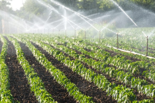 Design of Mist irrigation System